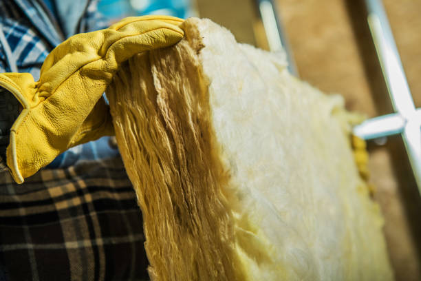 Best DIY Insulation Kits and Guidance in Palmview, TX