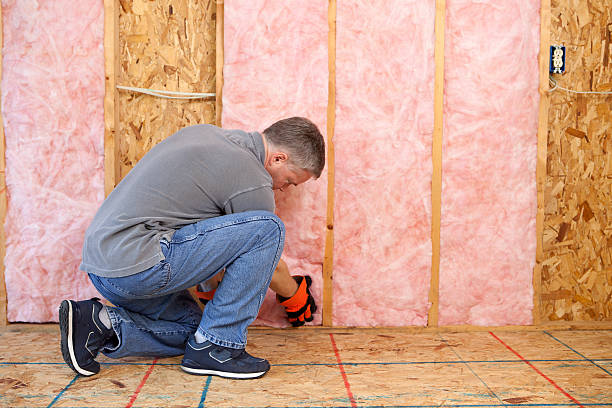 Best Specialized Insulation Services in Palmview, TX