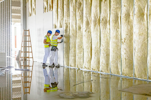 Best Cellulose Insulation in Palmview, TX